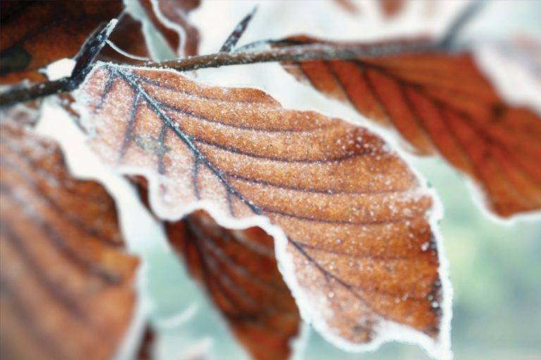 HSE provides UK employers guidance for cold working conditions