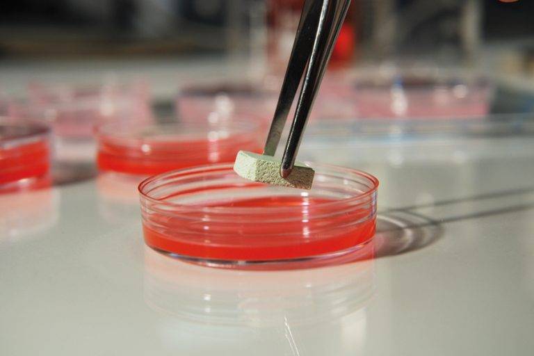 The “natural way” for grout resistance to microbial attack