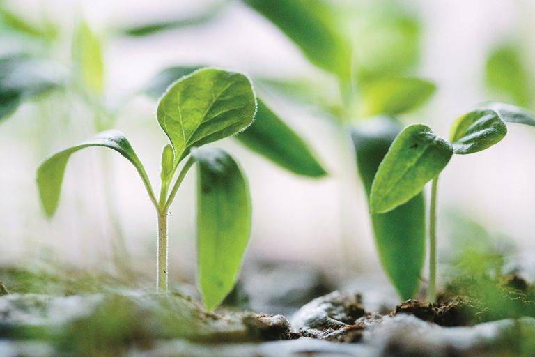 Panariagroup releases 2022 sustainability report