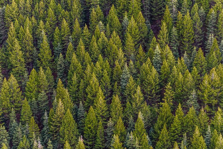 Parkside partners with World Land Trust