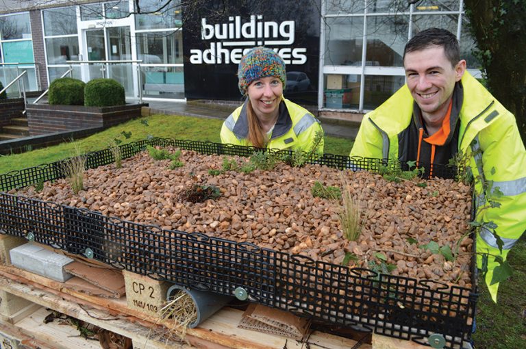 “Buggingham Pallets” welcomes new insect arrivals