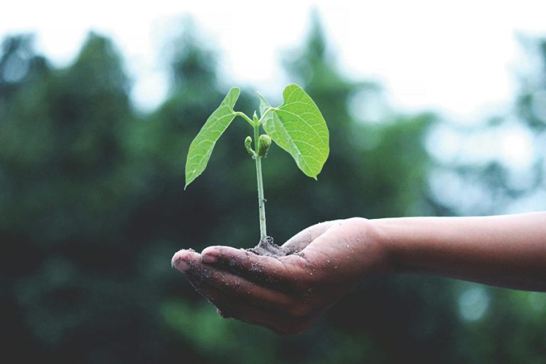 Confindustria Ceramica recognised for sustainability campaign