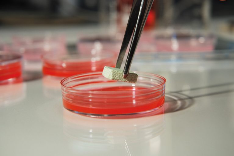 The natural way for grout resistance to microbial attack