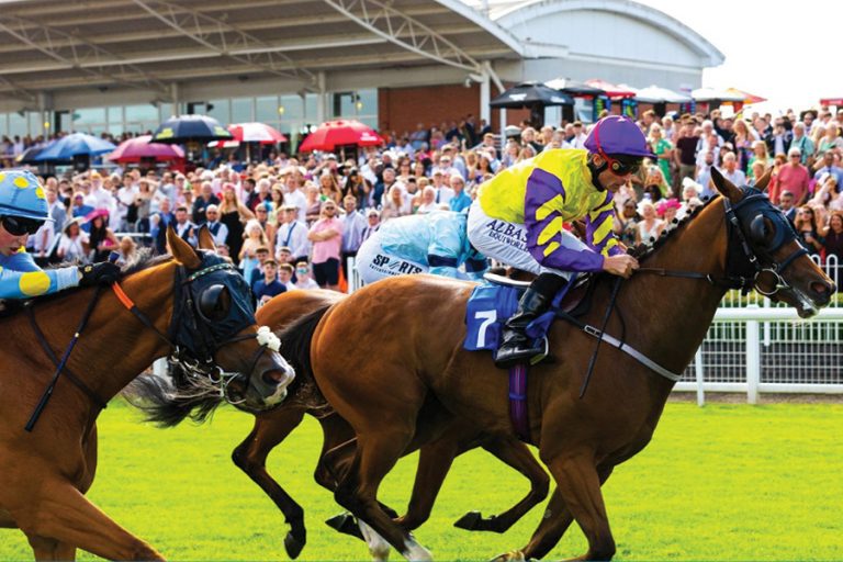 TTA Raceday – A brand new event for 2026